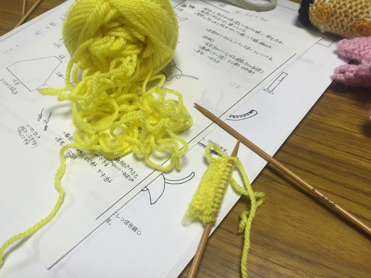 Learning Knitting