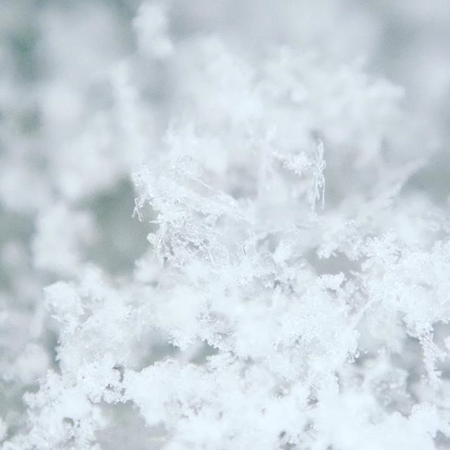 綺麗な雪の結晶はなかなか見つからない。It’s hard to find a beautiful snow crystal.
