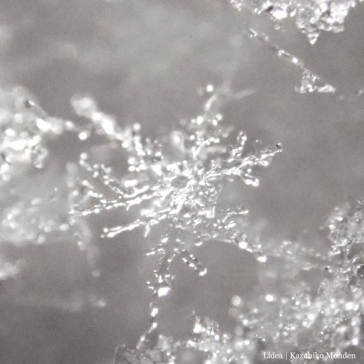 雪の結晶️キレイに撮るのはホント難しい。