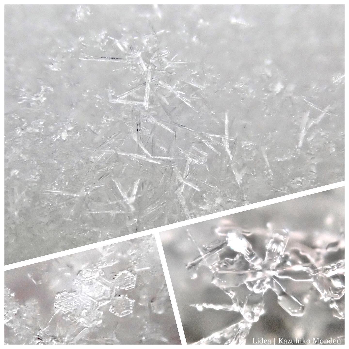 Today’s Snow Crystals.雪の結晶は形が様々。今日は針状のものが目立ってた。
