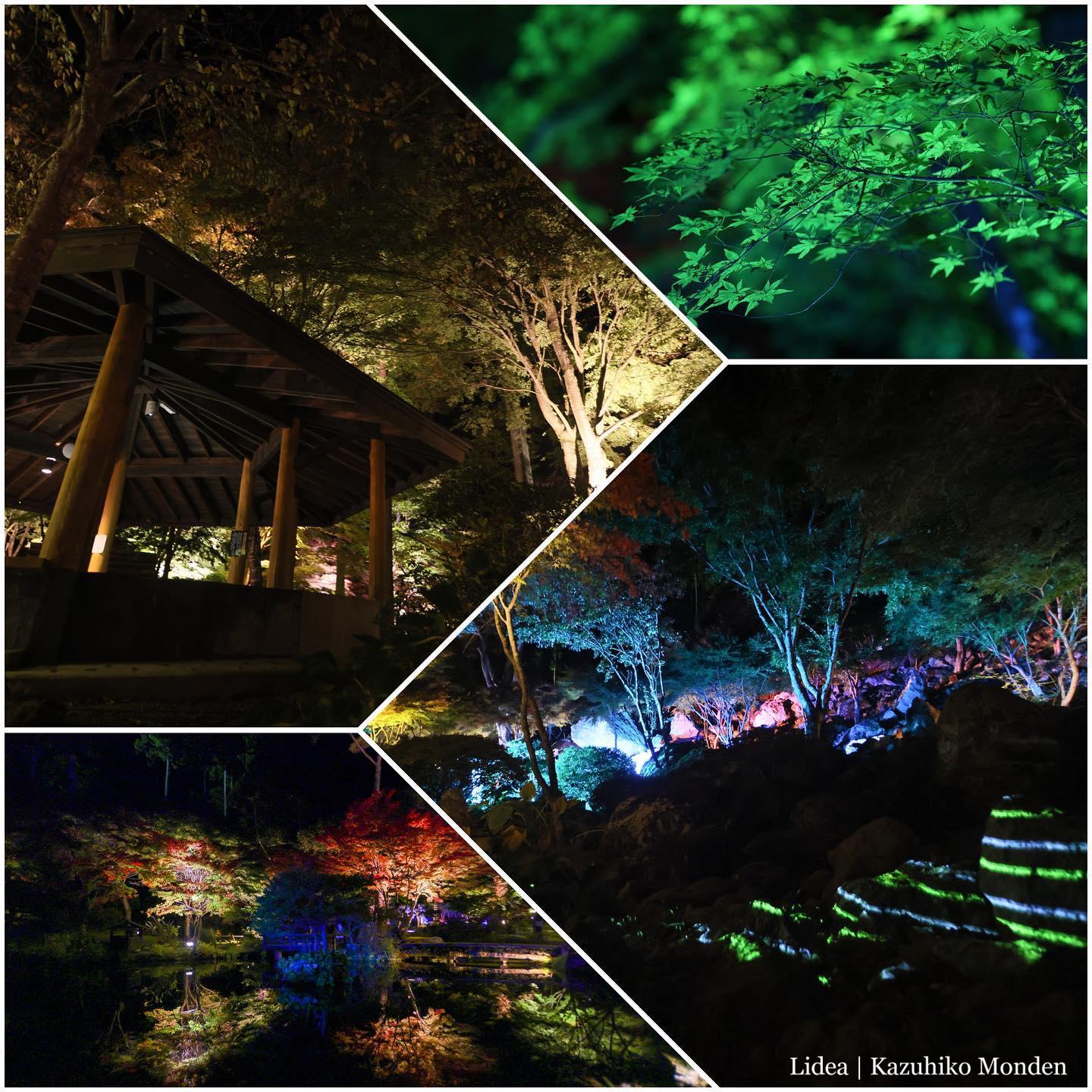 秋保・天守閣自然公園のライトアップ、今年も開催中。